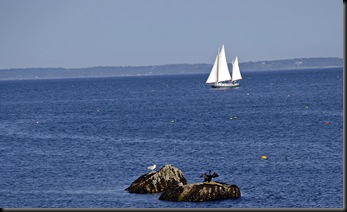 Squid Lights For Boats Tutorials, Wooden Boat Size Noise, Aluminum Boats Maine Electronics