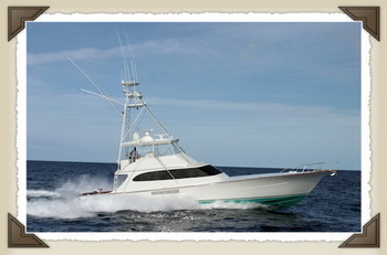 Price Of A Boat For Sale, Wooden Flats Skiff Plans Jumper, Wooden Kitchen Childrens Ikea Limited